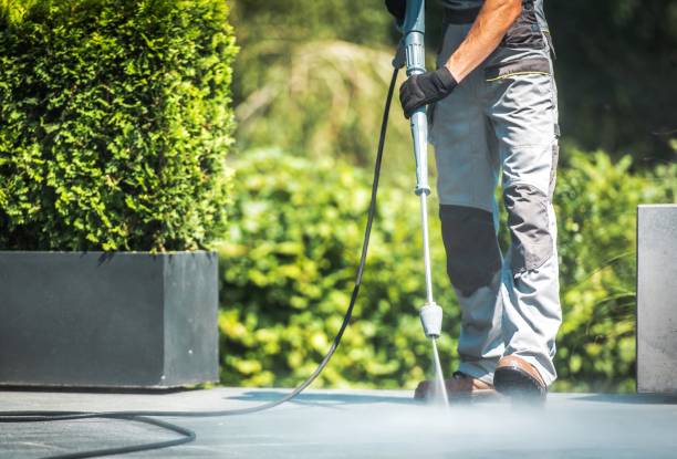 Solar Panel Cleaning in Alexandria, KY