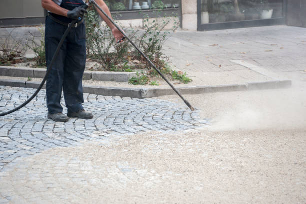 Best Parking Lot and Garage Cleaning  in Alexandria, KY
