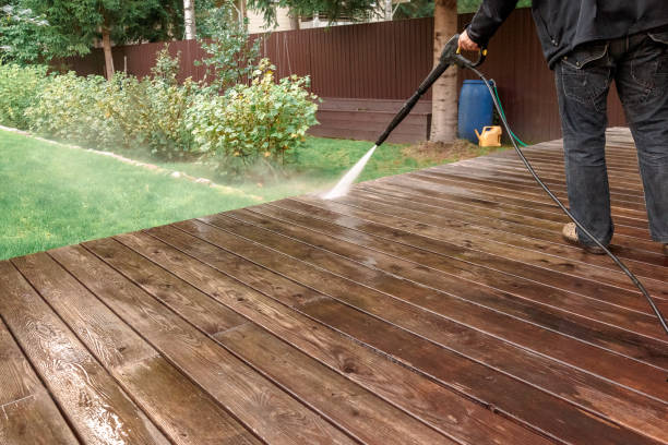 Animal Enclosure Cleaning in Alexandria, KY